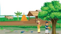 ચમત્કારિક ઝાડ