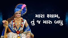 મારા શ્યામ, તું જ મારું બધું