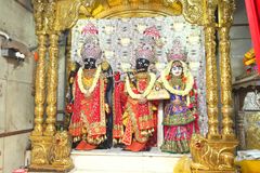 Padyatra (Karelibaug Mandir To Vadi Mandir & Vadi Madir To Karelibaug Mandir)