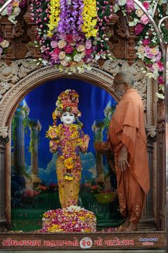 Ghanshyam Maharaj Special Photos
